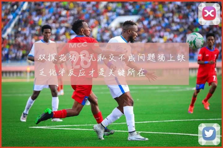 双探花场下无私交不成问题场上缺乏化学反应才是关键所在